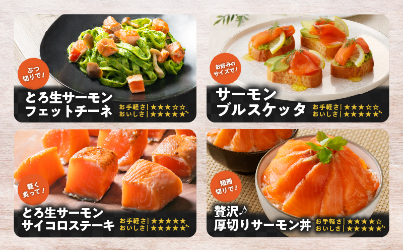 【全6回定期便（毎月）】【王子サーモン】生を超えた「とろ生サーモン」と北海道産秋鮭 いくら醤油漬セット 計580g　T041-T01-03