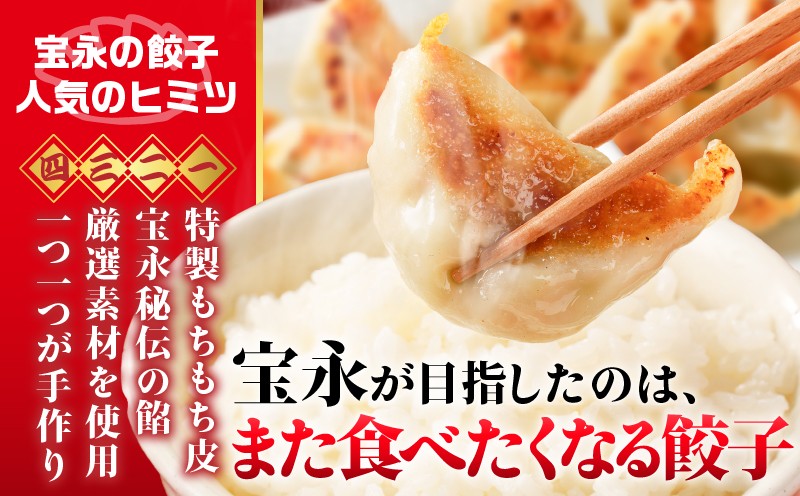 【全6回定期便（隔月）】ぎょうざの宝永 しそ餃子セット（宝永餃子 15個入×2袋＆しそ餃子 15個入×2袋）合計1.5kg　T004-T04-03