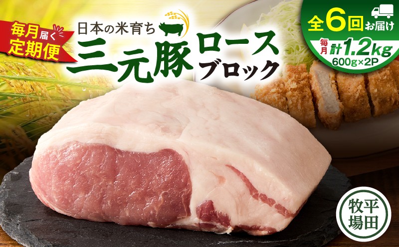 【全6回 毎月定期便】日本の米育ち平田牧場三元豚ロースブロック 1.2kg　T036-T07-02