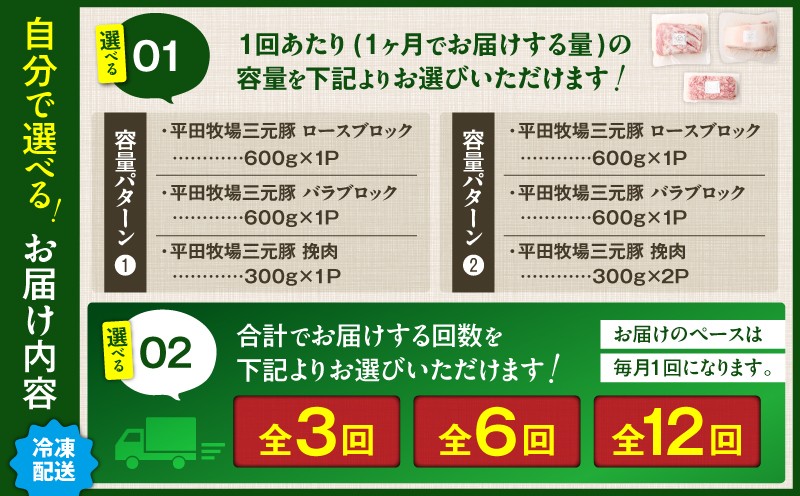 【全6回 毎月定期便】日本の米育ち平田牧場三元豚バラブロック 600g・豚ロースブロック 600g・豚挽肉 300g　T036-T14-02