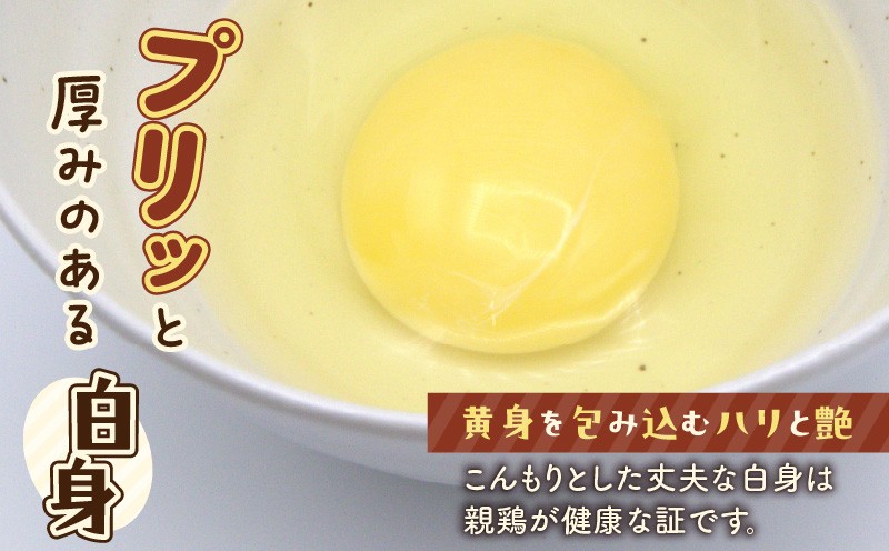 訳ありたまご　（たまごトレー）　T074-002