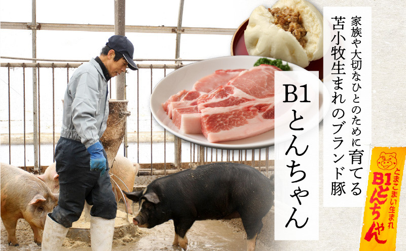 【10営業日以内に発送】B1とんちゃんの豚まん 4個、ウィンナーソーセージ 2袋セット　T010-002-01