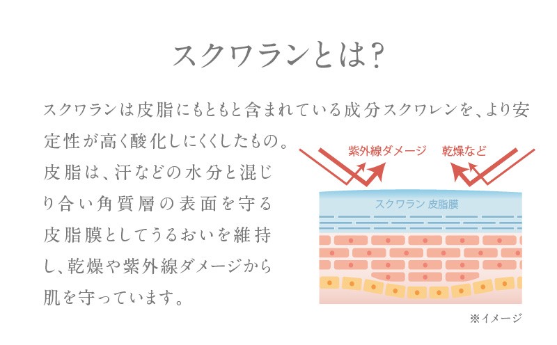 HABA 繧ケ繧ッ繝ッ繝ゥ繝ウIIシ60mlシ峨T003-002