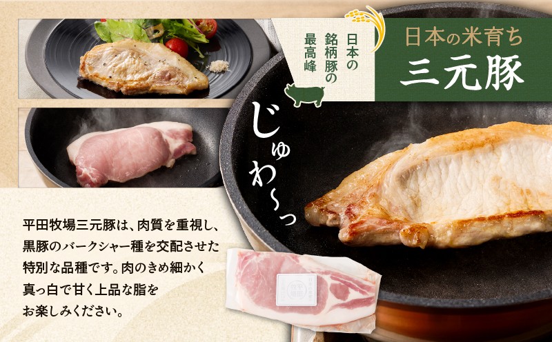 縲仙ィ12蝗 豈取怦螳壽悄萓ソ縲第律譛ャ縺ョ邀ウ閧イ縺。蟷ウ逕ー迚ァ蝣エ 荳牙雎壹Ο繝シ繧ケ繧ケ繝繝シ繧ュ 8譫壹T036-T04-03