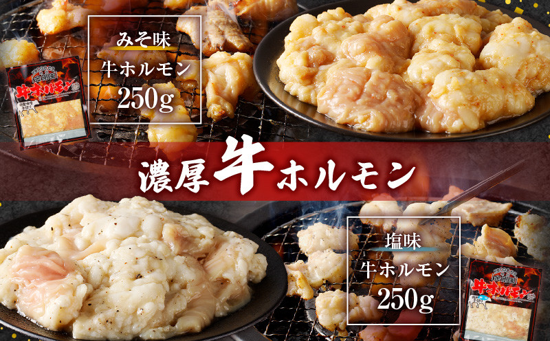 驥大央蝨 迚ケ陬ス繝帙Ν繝「繝ウ繧サ繝繝 蜈ィ4遞ョ 4繝代ャ繧ッ 蜷郁ィ940g縲T054-001