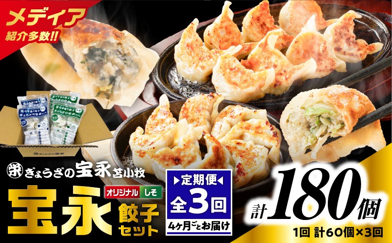 【全3回定期便（4ヶ月毎）】ぎょうざの宝永 しそ餃子セット（宝永餃子 15個入×2袋＆しそ餃子 15個入×2袋）合計1.5kg　T004-T04-01