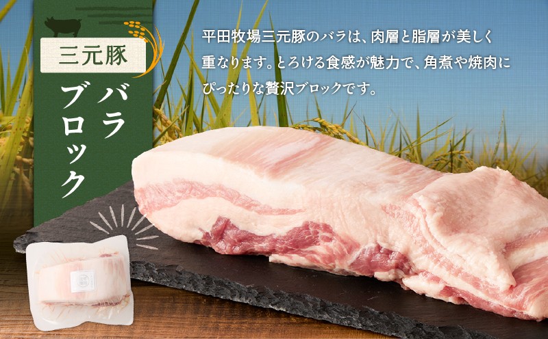 【全12回 毎月定期便】日本の米育ち平田牧場三元豚バラブロック 1.2kg　T036-T09-03