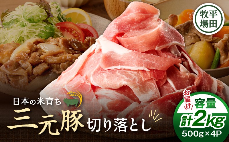日本の米育ち平田牧場 三元豚切り落とし 500g×4パック（計2kg）　T036-005