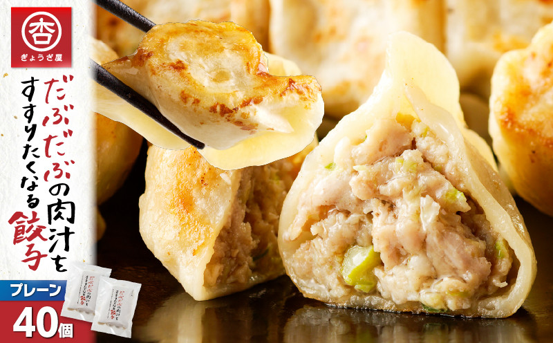 だぶだぶの肉汁をすすりたくなる餃子 40個　T060-001