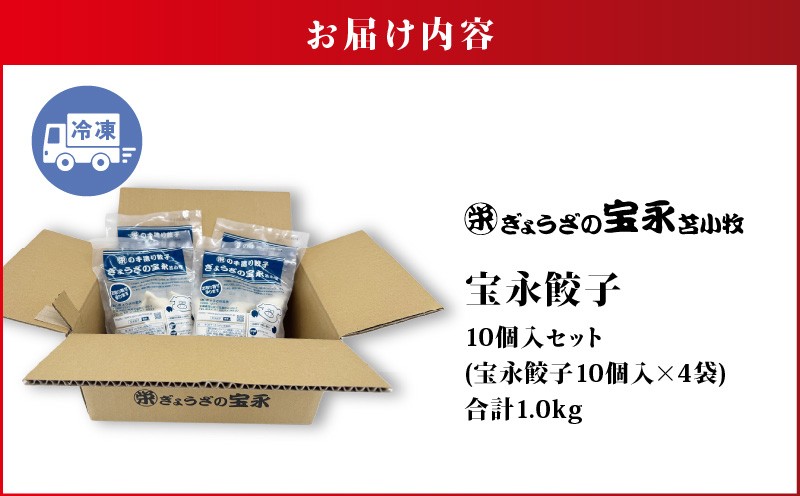 ぎょうざの宝永 宝永餃子10個入セット（宝永餃子10個入×4袋）合計1.0kg　T004-003
