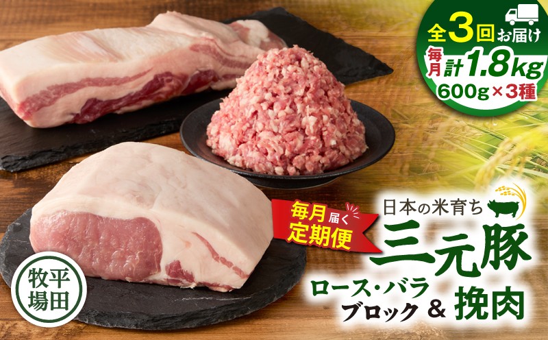 【全3回 毎月定期便】日本の米育ち平田牧場三元豚バラブロック 600g・豚ロースブロック 600g・豚挽肉 600g　T036-T15-01