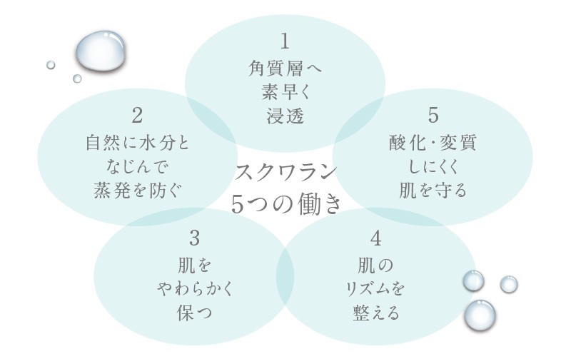 HABA 繧ケ繧ッ繝ッ繝ゥ繝ウIIシ60mlシ峨T003-002