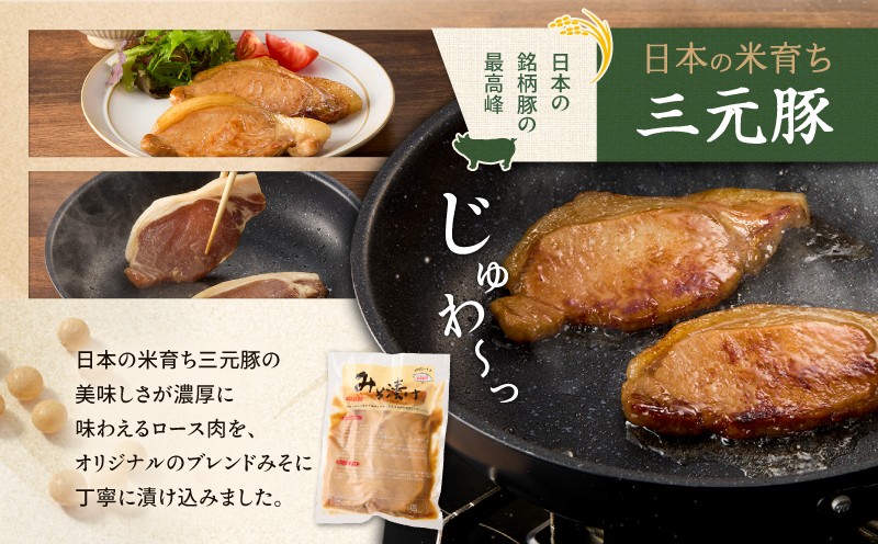 æ¥æ¬ã®ç±³è²ã¡å¹³ç°ç§å Ž äžå
è±ããŒã¹ã¿ã挬ã 80gÃ3æÃ2ããã¯ïŒèš480gïŒãT036-001