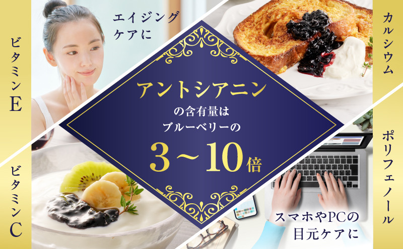 ホテルニュー王子特製ジャム ハスカップスペシャリィメイド 150g×2個　T048-005-02