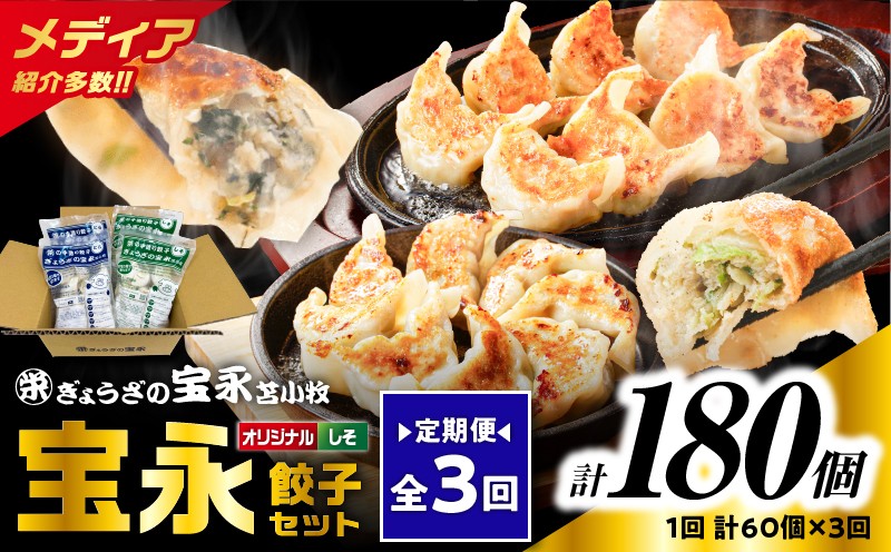 【全3回定期便（毎月）】ぎょうざの宝永 しそ餃子セット（宝永餃子 15個入×2袋＆しそ餃子 15個入×2袋）合計1.5kg　T004-T04-02