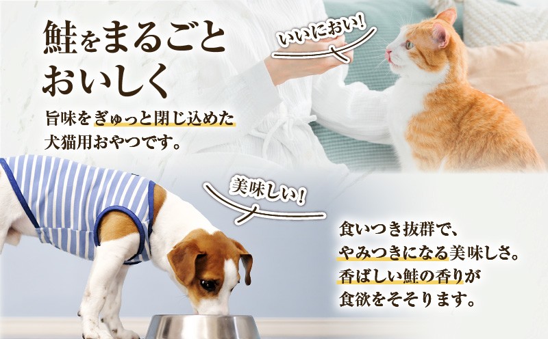 Cao Cao åæµ·éç£ çŽ
é®100%ãžã£ãŒããŒãããã¹ 60gïŒ20gÃ3è¢ïŒãT035-006-01