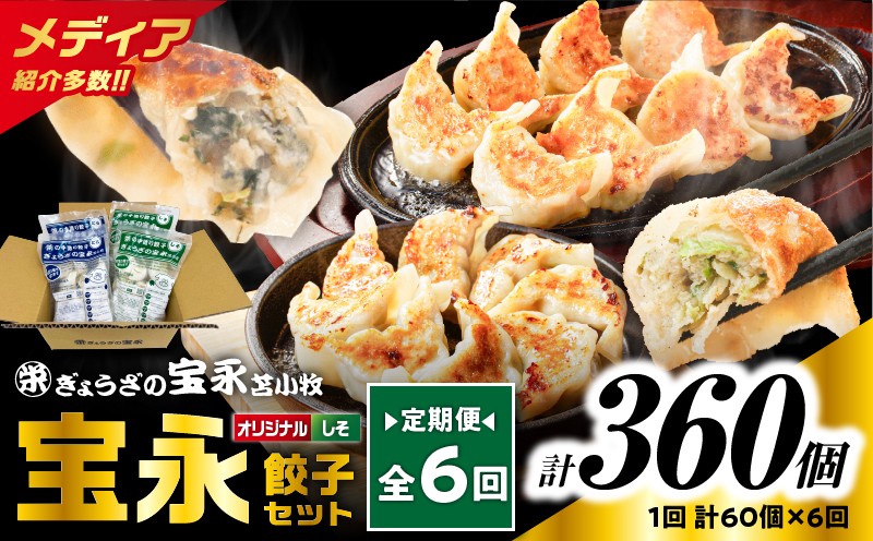 【全6回定期便（毎月）】ぎょうざの宝永 しそ餃子セット（宝永餃子 15個入×2袋＆しそ餃子 15個入×2袋）合計1.5kg　T004-T04-04