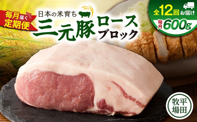 【全12回 毎月定期便】日本の米育ち平田牧場三元豚ロースブロック 600g　T036-T06-03