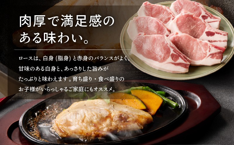 縲仙ィ12蝗 豈取怦螳壽悄萓ソ縲第律譛ャ縺ョ邀ウ閧イ縺。蟷ウ逕ー迚ァ蝣エ 荳牙雎壹Ο繝シ繧ケ繧ケ繝繝シ繧ュ 8譫壹T036-T04-03