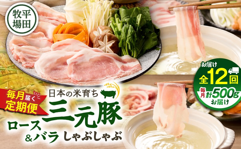 【全12回 毎月定期便】日本の米育ち平田牧場 三元豚ロース 250g・バラしゃぶしゃぶロース 250g　T036-T02-03