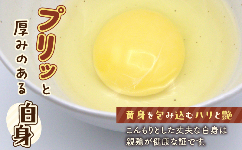 平飼いたまご　T074-001