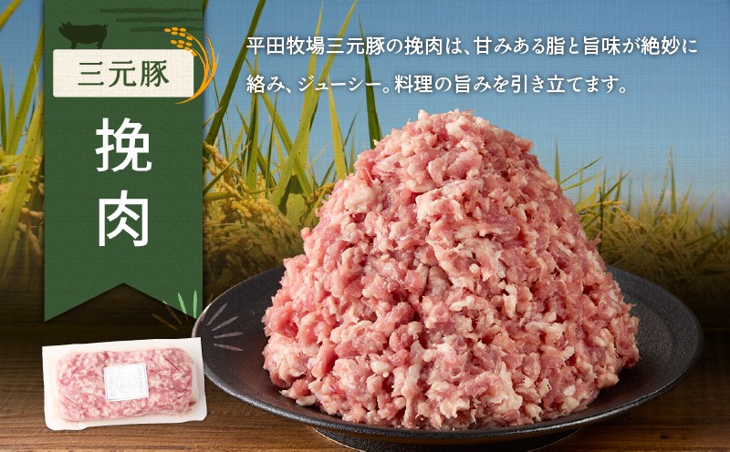 【全3回 毎月定期便】日本の米育ち平田牧場三元豚バラブロック 600g・豚ロースブロック 600g・豚挽肉 600g　T036-T15-01