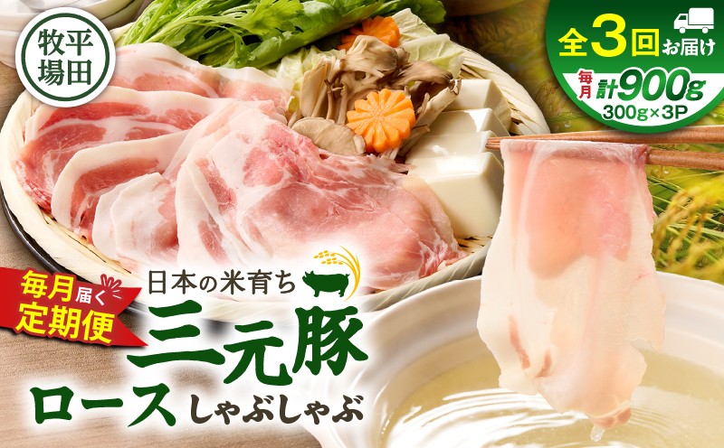 【全3回 毎月定期便】日本の米育ち平田牧場 三元豚ロースしゃぶしゃぶ　T036-T01-01