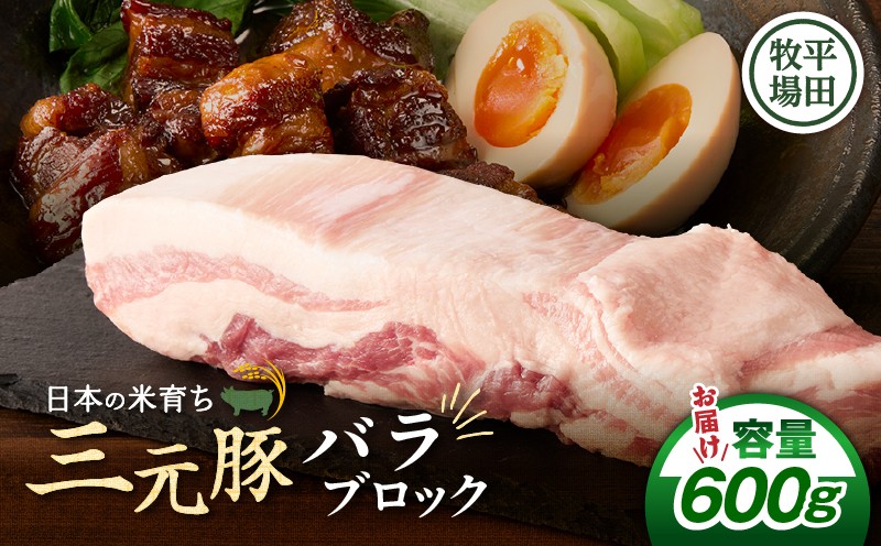 【平田牧場】三元豚バラブロック 600g　T036-015