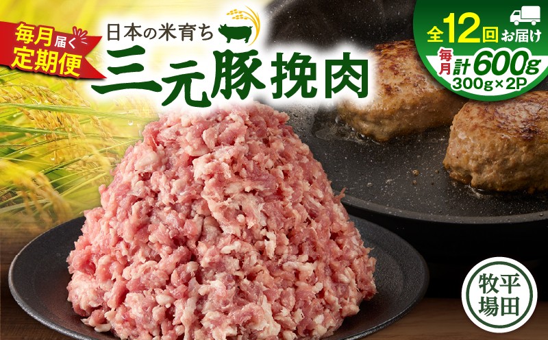 【全12回 毎月定期便】日本の米育ち平田牧場三元豚ひき肉 600g　T036-T12-03