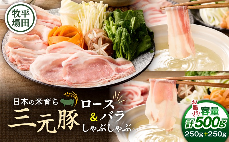 日本の米育ち平田牧場 三元豚ロース・バラしゃぶしゃぶ　各250g（計500g）　T036-007