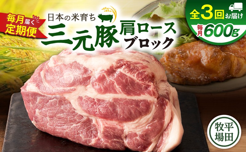 【全3回 毎月定期便】日本の米育ち平田牧場三元豚肩ロースブロック 600g　T036-T10-01