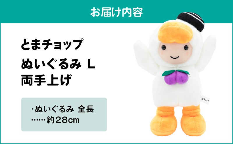 縺ャ縺縺舌k縺ソL 荳。謇倶ク翫£縲T042-026