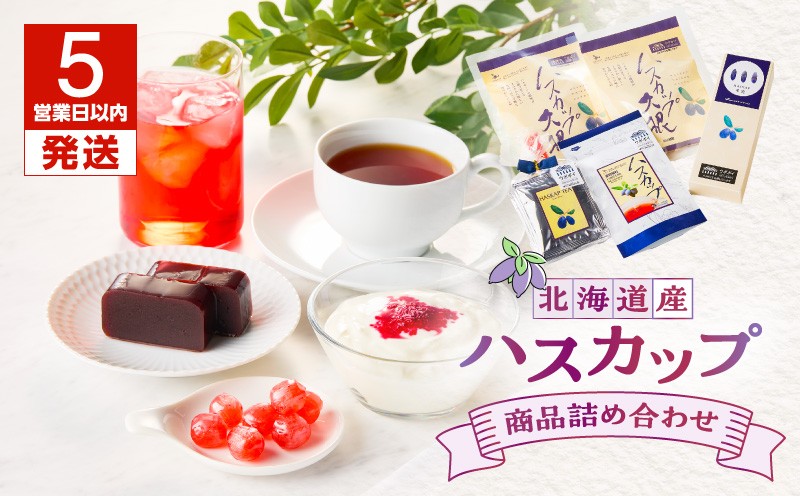 【5営業日以内に発送】【ハスカップ商品詰め合わせ】　T040-001