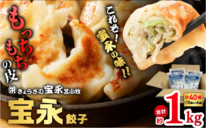 ぎょうざの宝永 宝永餃子10個入セット（宝永餃子10個入×4袋）合計1.0kg　T004-003
