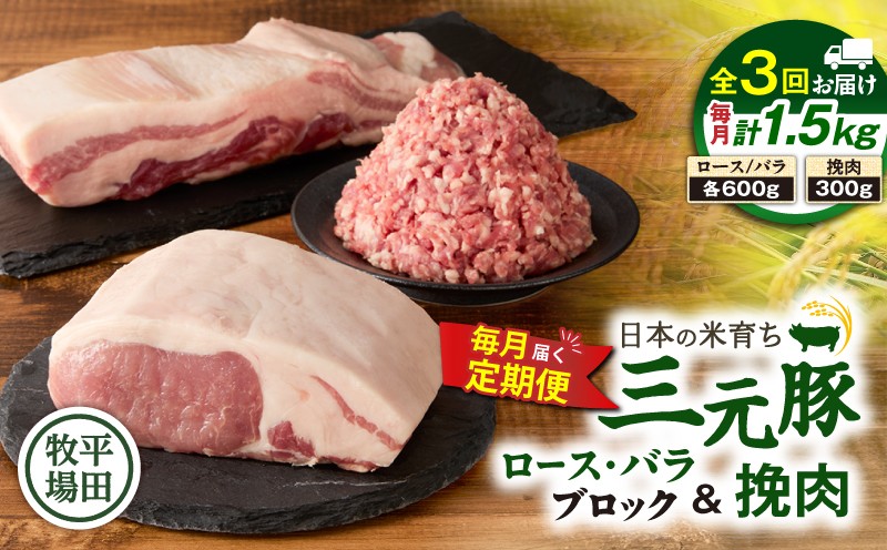 【全3回 毎月定期便】日本の米育ち平田牧場三元豚バラブロック 600g・豚ロースブロック 600g・豚挽肉 300g　T036-T14-01