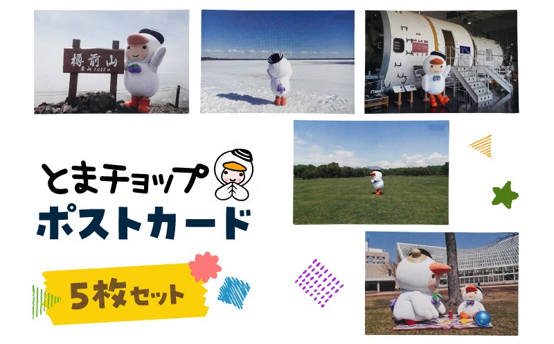 ポストカード 5枚セット　T042-019