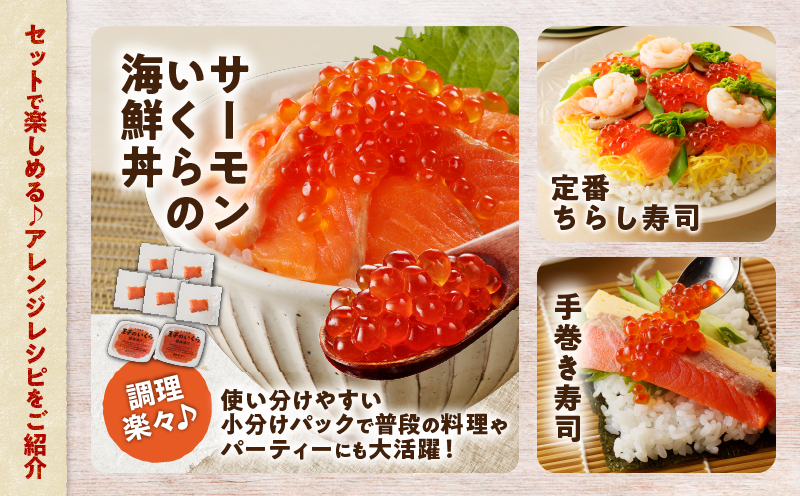 【全3回定期便（4ヶ月毎）】【王子サーモン】生を超えた「とろ生サーモン」と北海道産秋鮭 いくら醤油漬セット 計580g　T041-T01-02