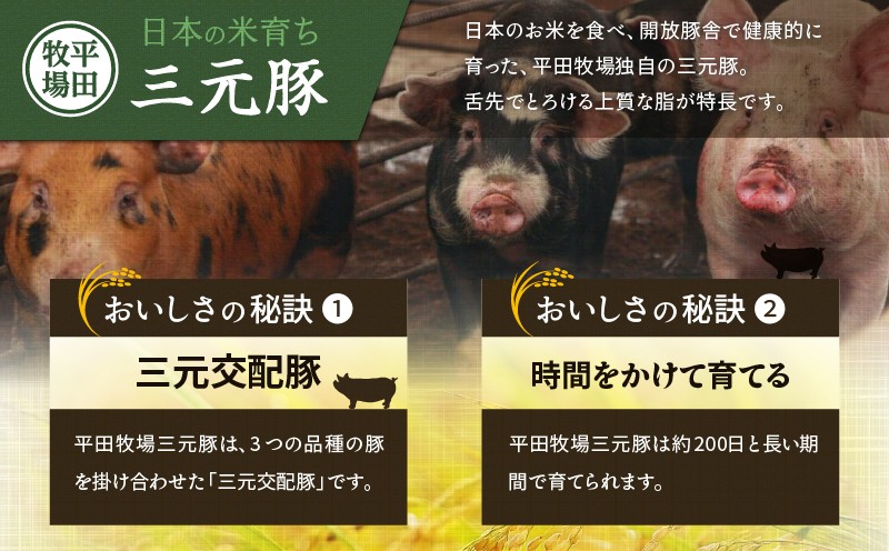 【全12回 毎月定期便】日本の米育ち平田牧場 三元豚ロースステーキ 6枚　T036-T03-03