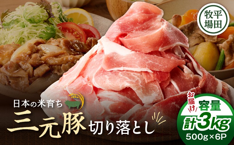 日本の米育ち平田牧場 三元豚切り落とし 500g×6パック（計3kg）　T036-006