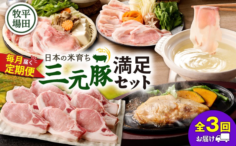 【全3回 毎月定期便】日本の米育ち平田牧場の満足セット！　T036-T05-01