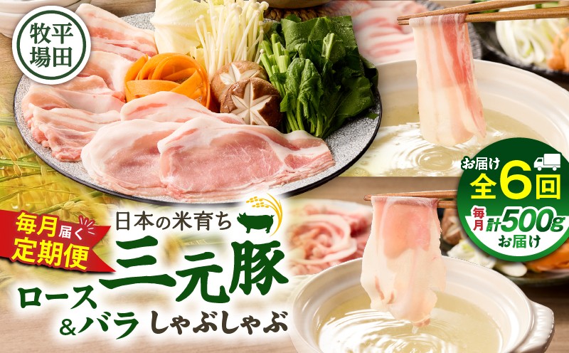【全6回 毎月定期便】日本の米育ち平田牧場 三元豚ロース 250g・バラしゃぶしゃぶロース 250g　T036-T02-02