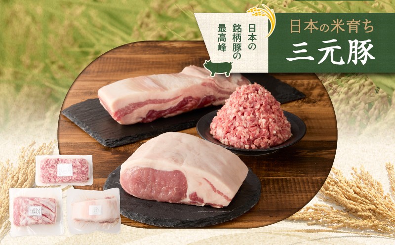 【全6回 毎月定期便】日本の米育ち平田牧場三元豚バラブロック 600g・豚ロースブロック 600g・豚挽肉 300g　T036-T14-02
