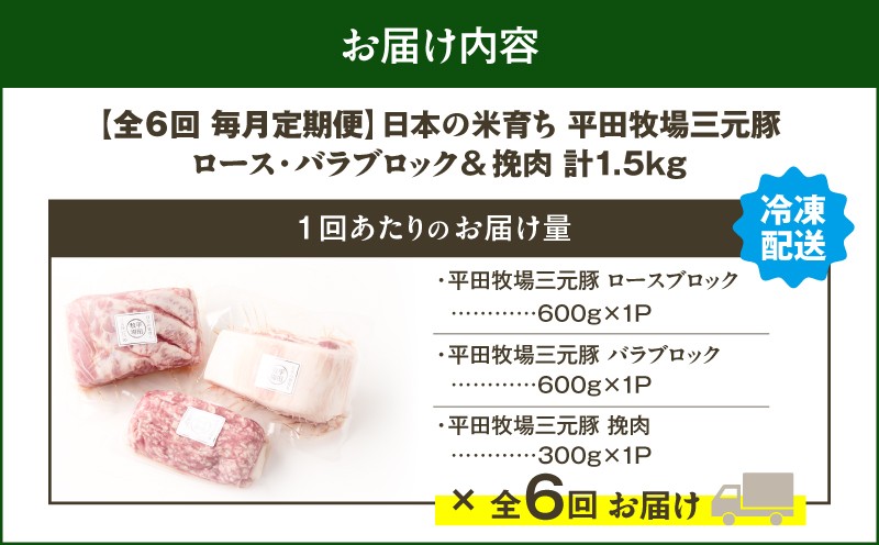 【全6回 毎月定期便】日本の米育ち平田牧場三元豚バラブロック 600g・豚ロースブロック 600g・豚挽肉 300g　T036-T14-02