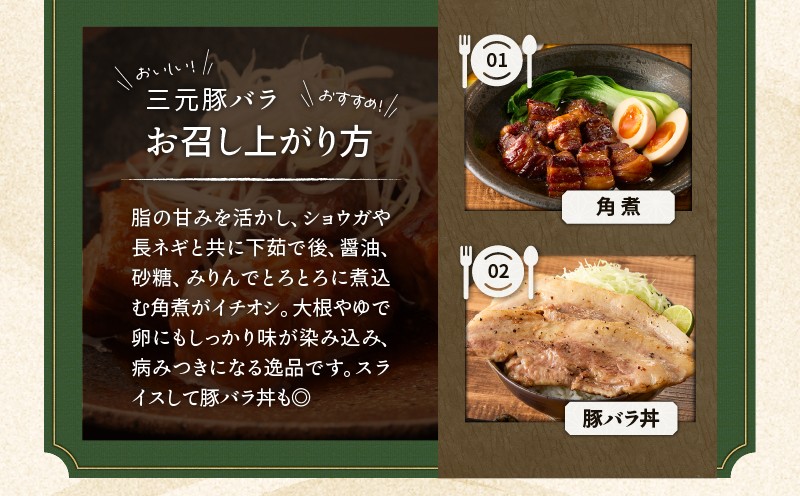 【全3回 毎月定期便】日本の米育ち平田牧場三元豚バラブロック 1.2kg　T036-T09-01
