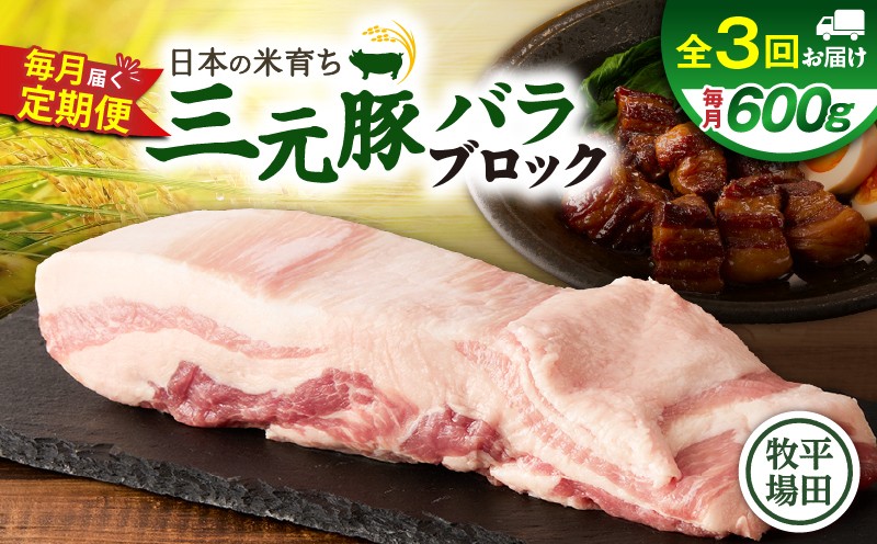 【全3回 毎月定期便】日本の米育ち平田牧場三元豚バラブロック 600g　T036-T08-01