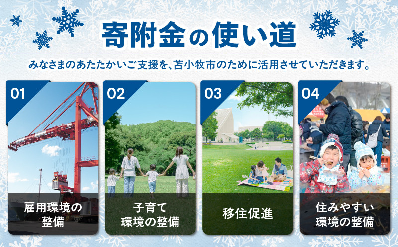 北海道苫小牧市応援寄附金（返礼品なし）5,000円　T000-001-02