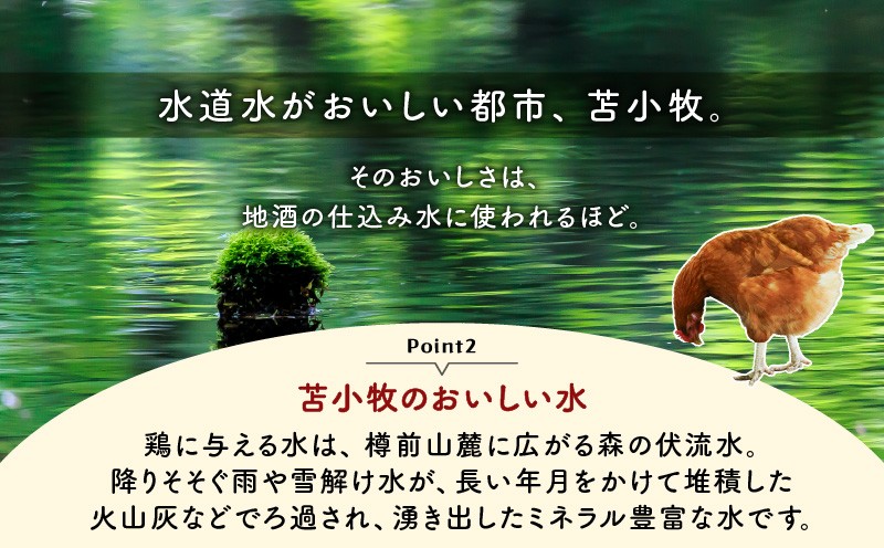 【全3回定期便】平飼いたまご（たまごトレー）　T074-T01-02
