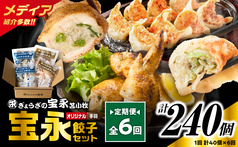 【定期便・全6回 毎月】手包み餃子 ぎょうざの宝永 手羽餃子40個セット（宝永餃子15個入×2袋・手羽餃子5個入×2袋）　T004-T06-02-04【有限会社ぎょうざの宝永】