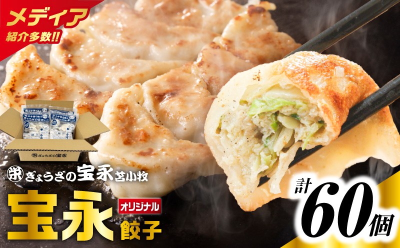 ぎょうざの宝永 宝永餃子 15個入セット（宝永餃子15個入×4袋）合計1.5kg　T004-001