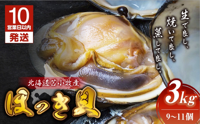 【10営業日以内に発送】北海道苫小牧産　ほっき貝　3kg（9〜11個）　T032-001
